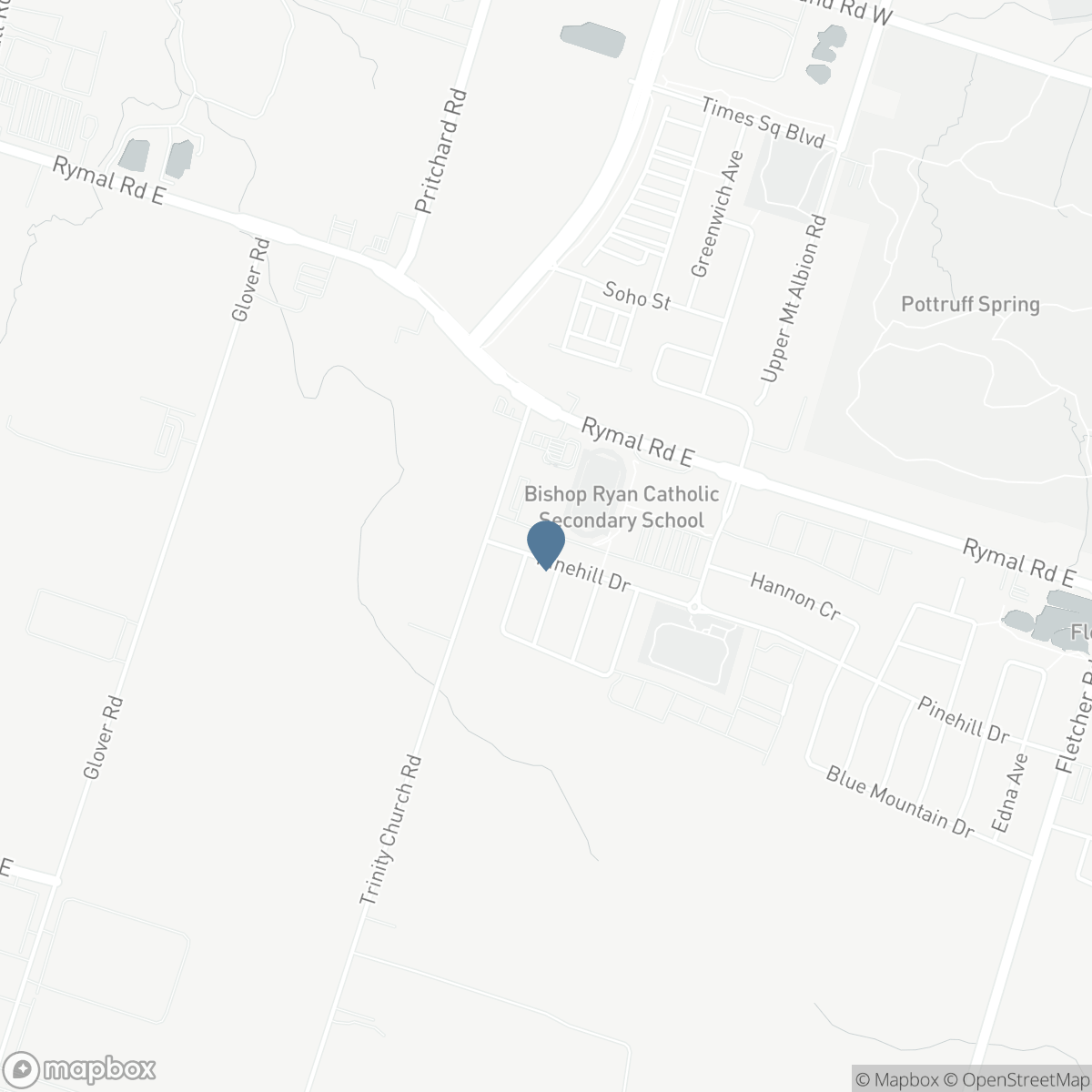 336 PINEHILL Drive, Binbrook, Ontario L0R 1P0